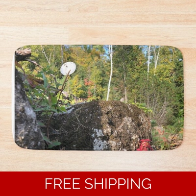 Le Studio Bath Mat Satellite Dish 2019